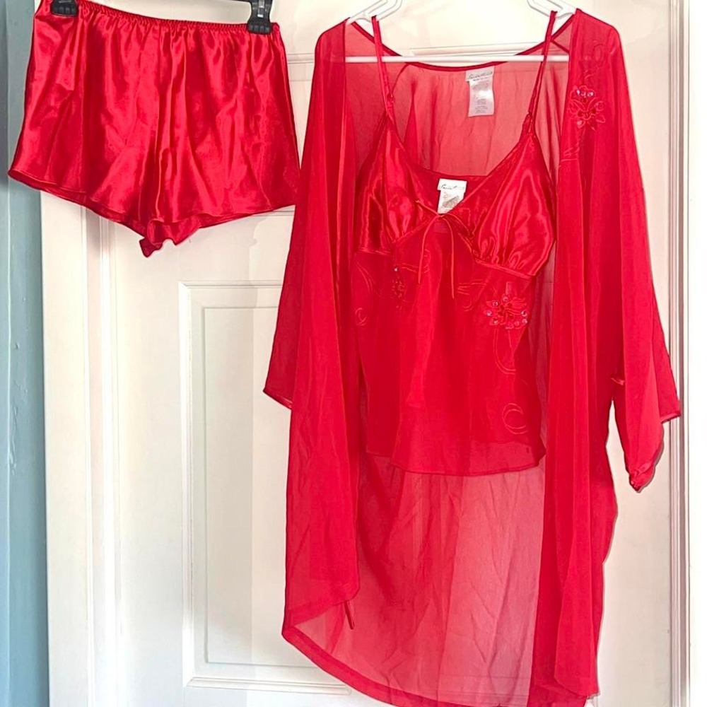 Red sheer embroidered 3 piece lingerie set new with tags Secret Treasures